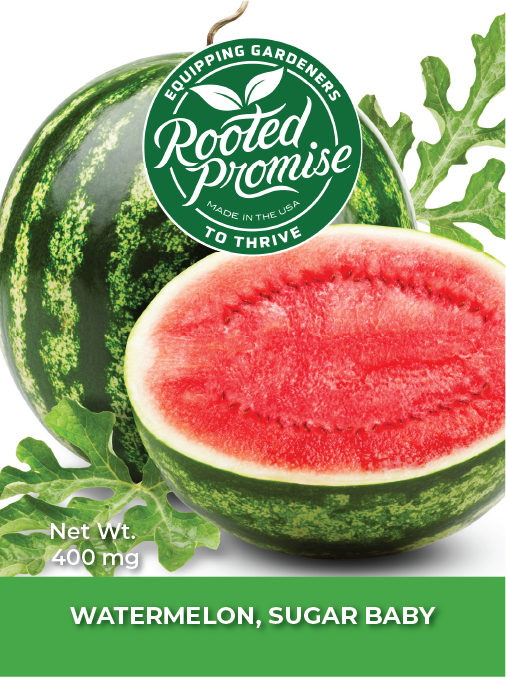 Kids Outdoor Watermelon Garden Kit